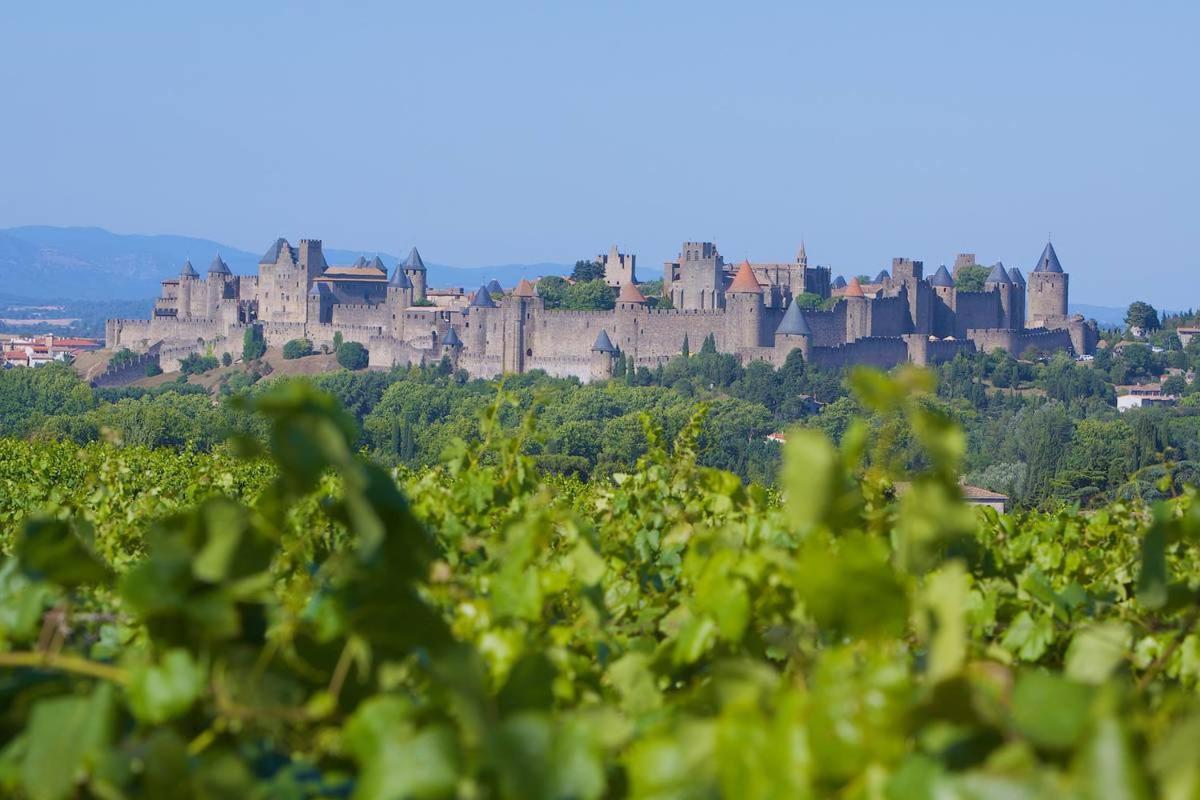 Tout Confort ! Calme, Climatisation, Piscine, Parking Gratuit, Grande Terrasse, Netflix, Wifi Carcassonne Exterior photo